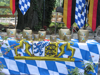 Steins