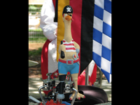 The Pirate Chicken